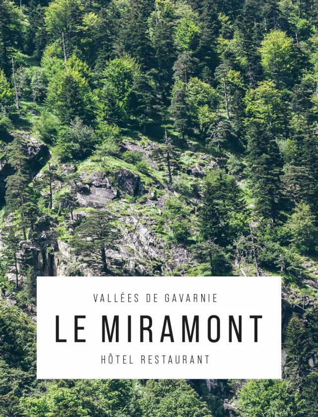 Séjour Montagne